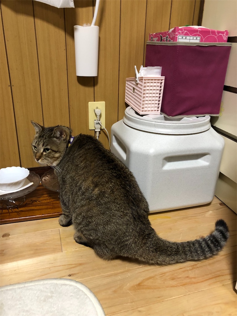 f:id:annesea:20181231223939j:image