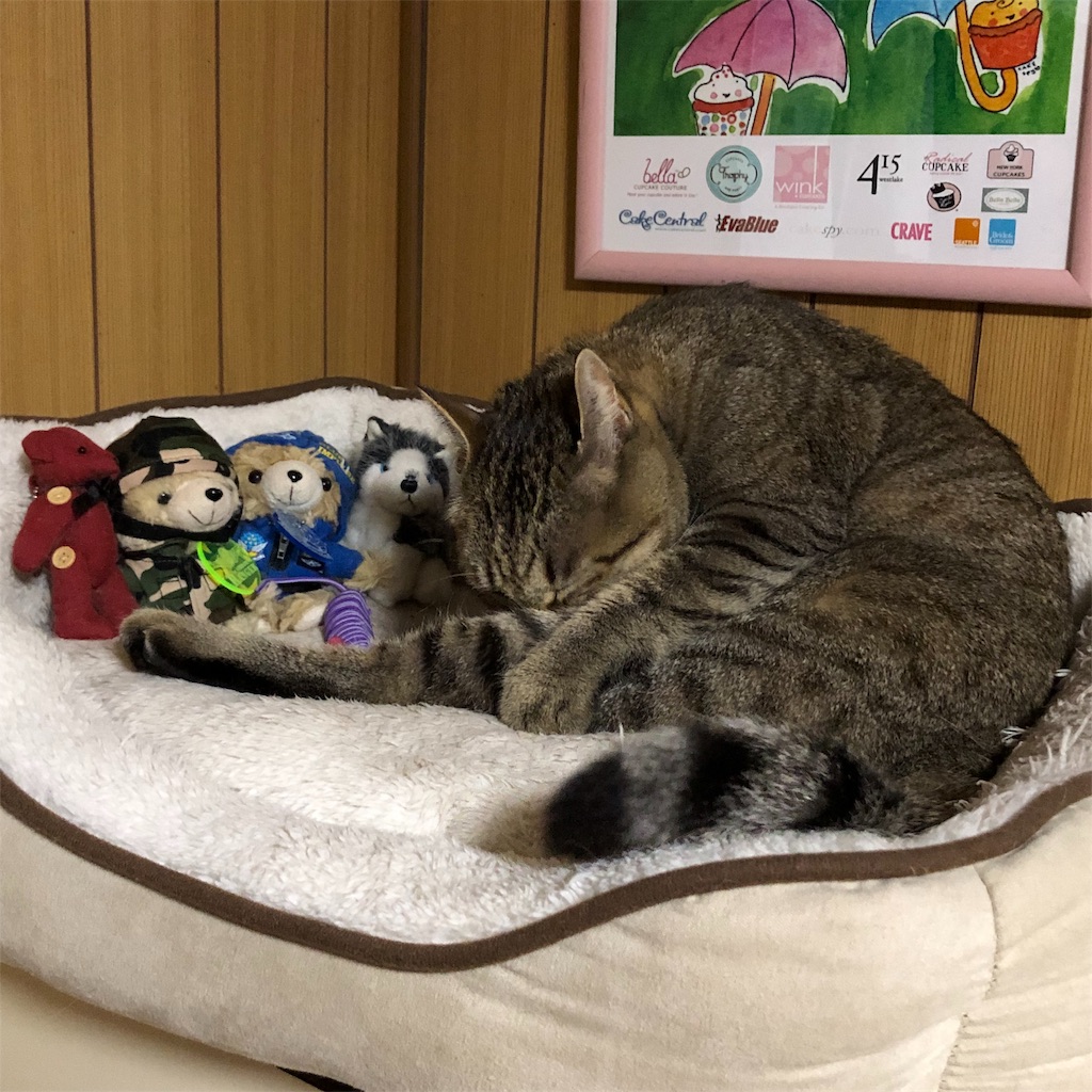 f:id:annesea:20181231223946j:image