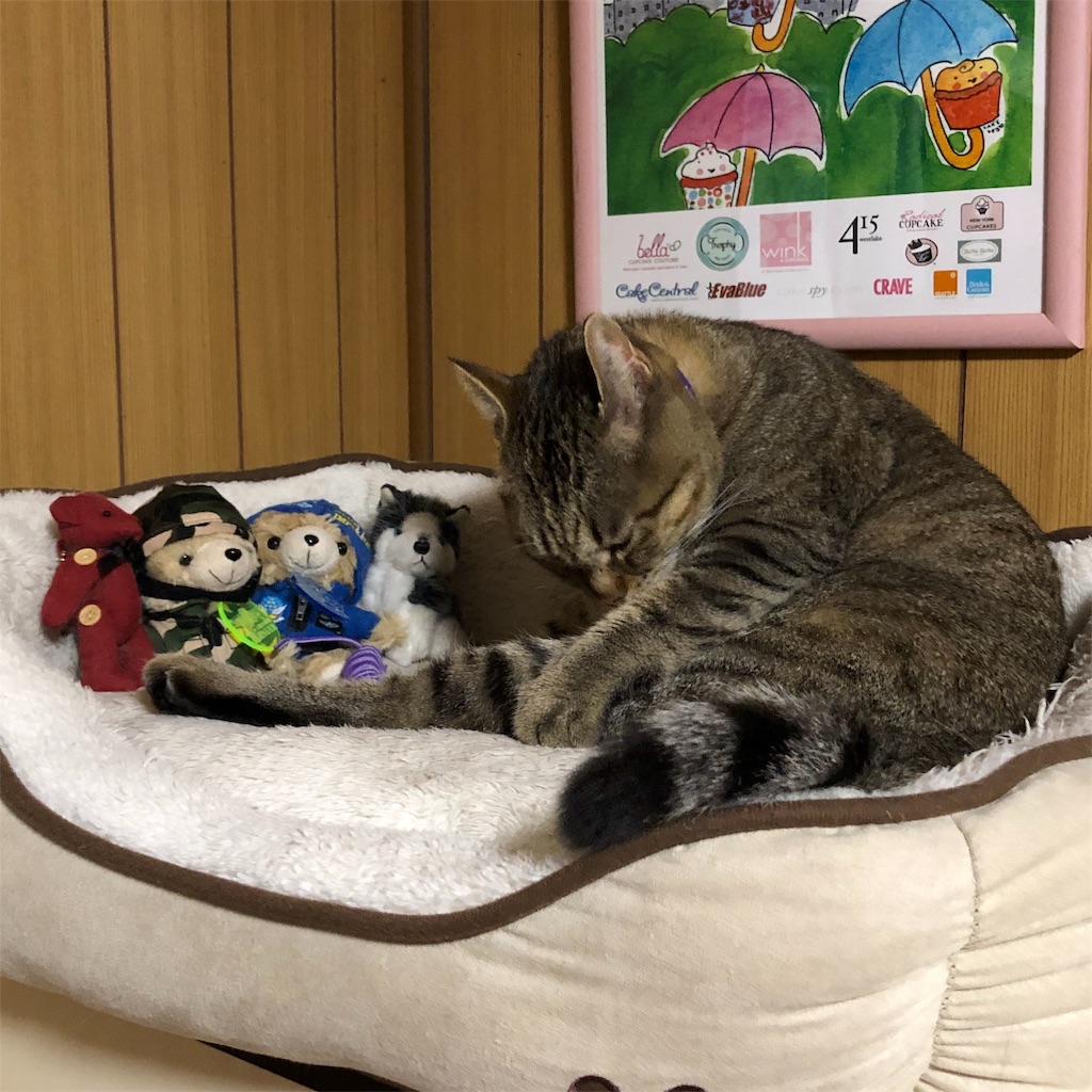 f:id:annesea:20181231223953j:image