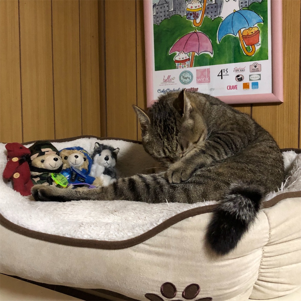 f:id:annesea:20181231224001j:image