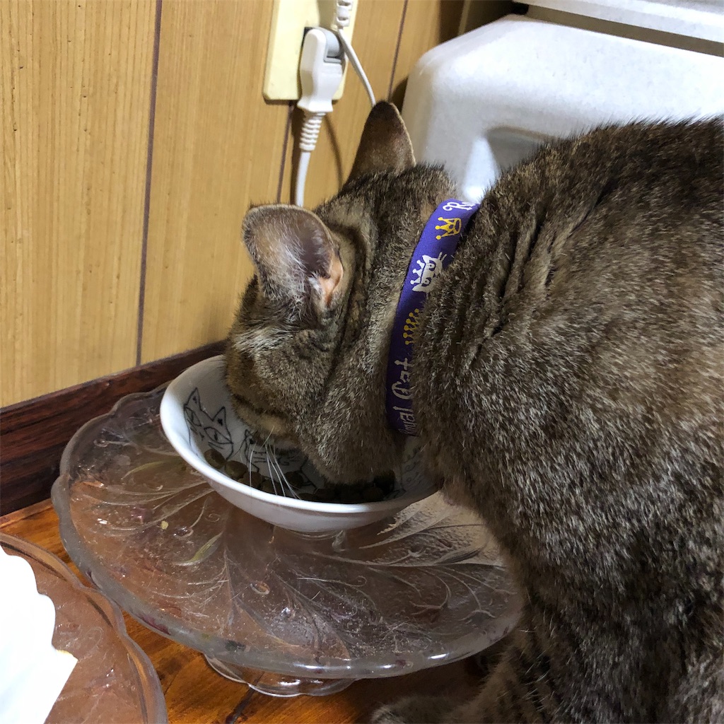 f:id:annesea:20181231224009j:image