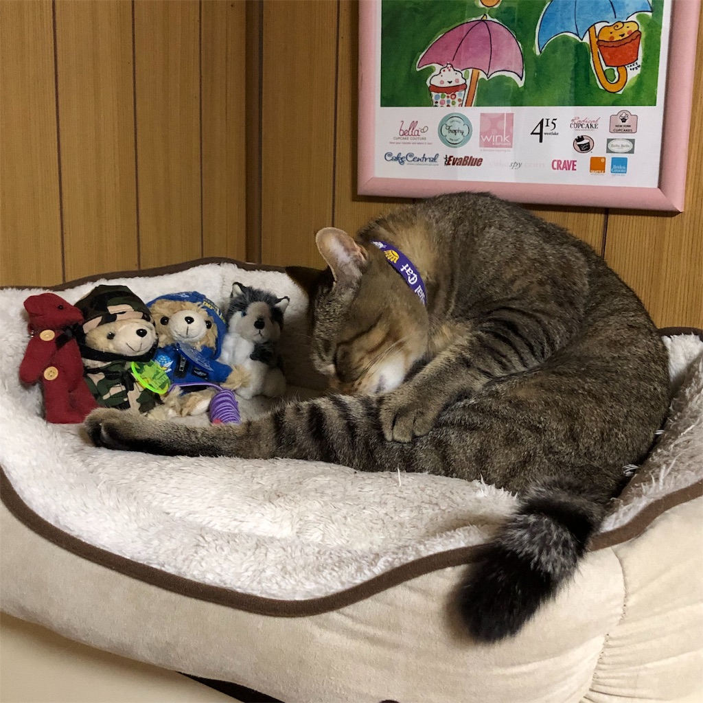 f:id:annesea:20181231224027j:image