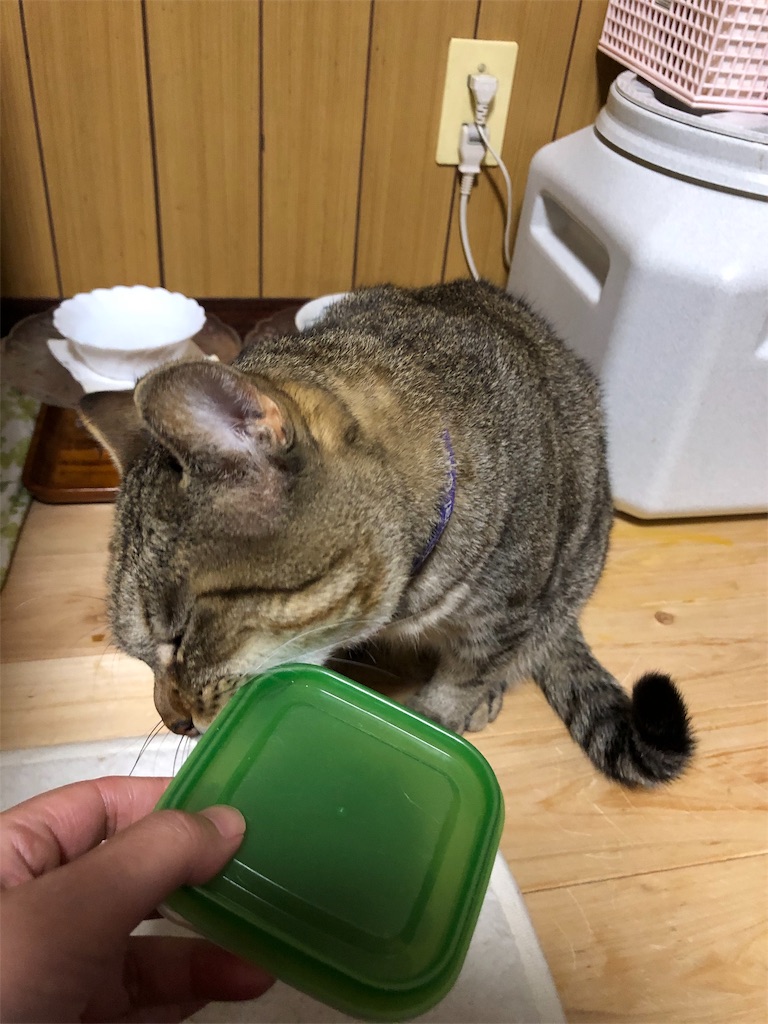 f:id:annesea:20181231224032j:image