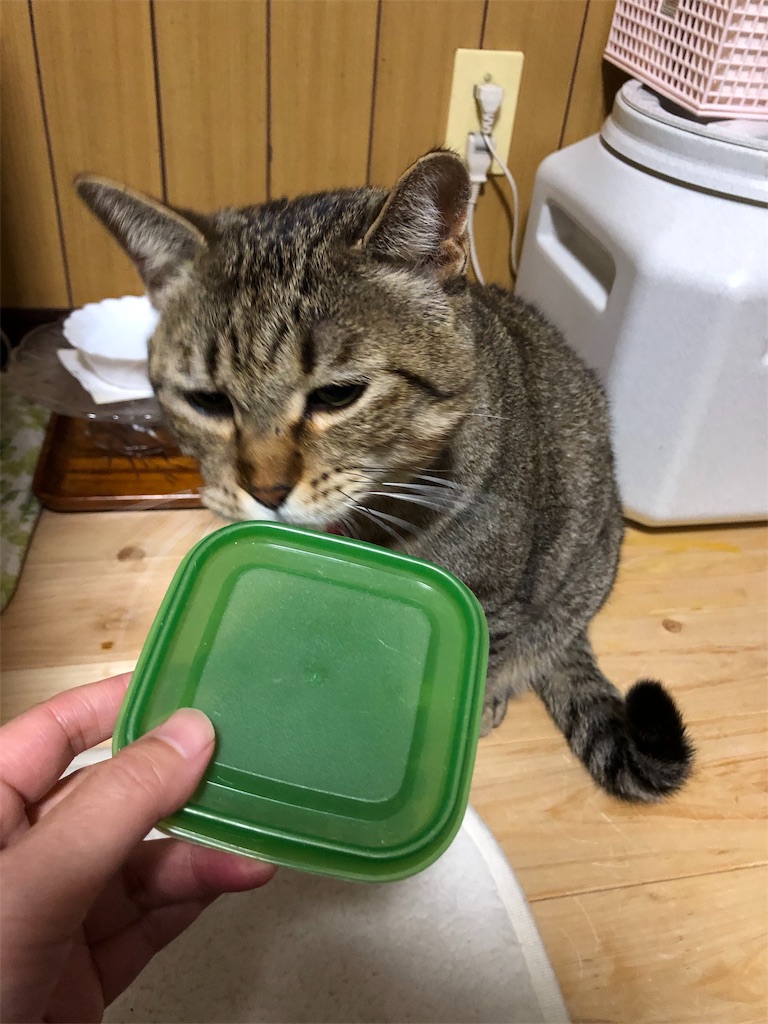 f:id:annesea:20181231224107j:image