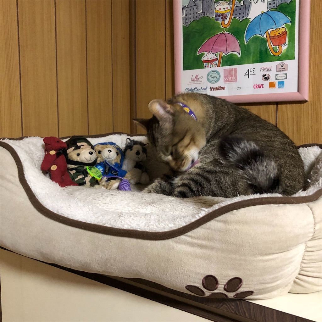 f:id:annesea:20181231224113j:image