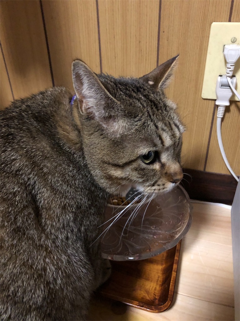 f:id:annesea:20190101231125j:image