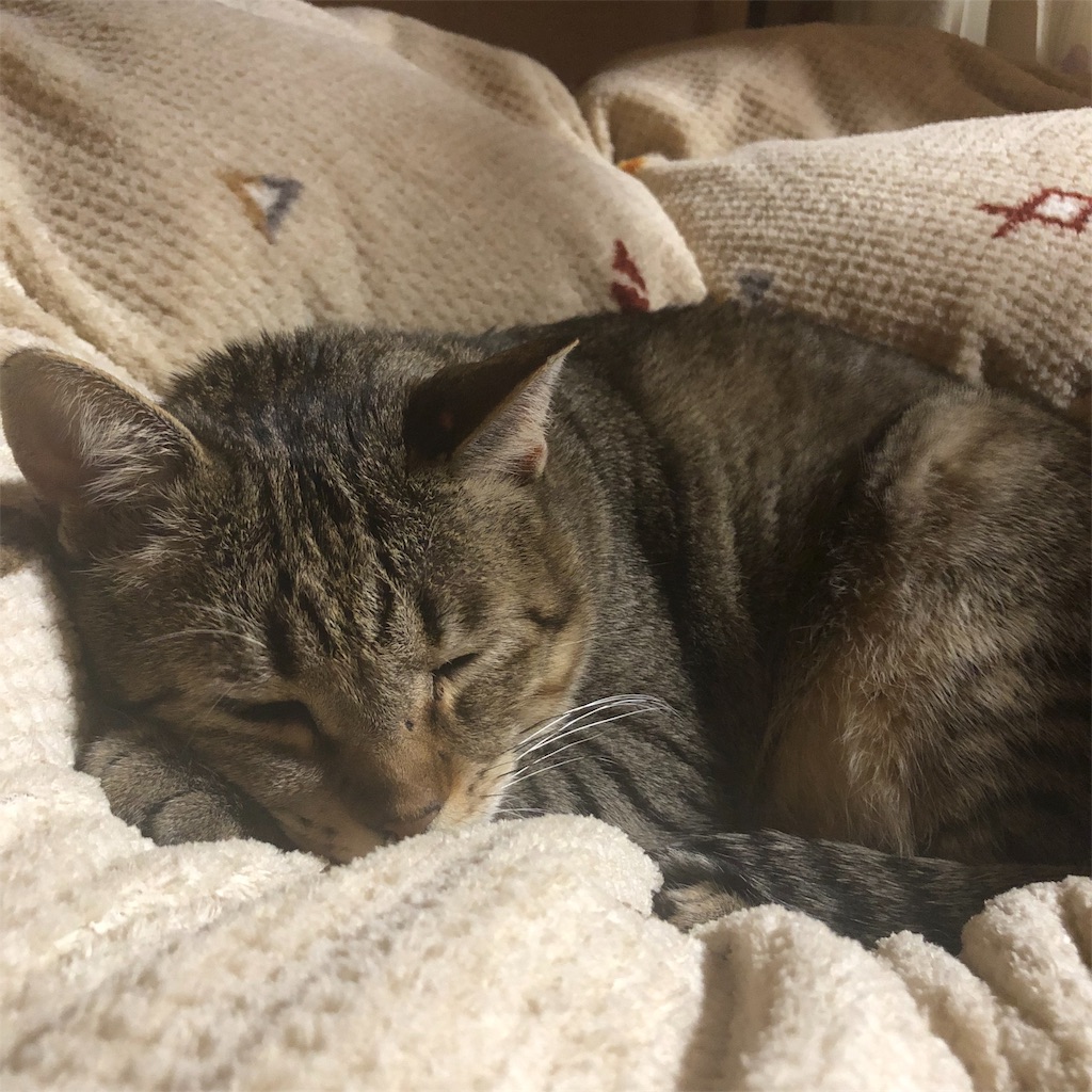 f:id:annesea:20190103000835j:image