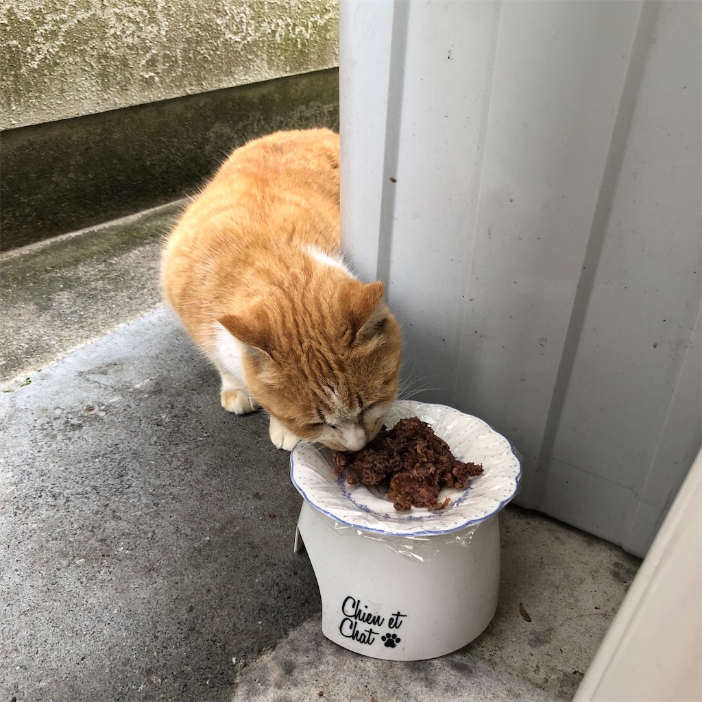 f:id:annesea:20190103215808j:image