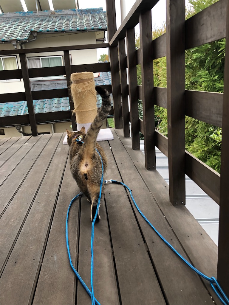f:id:annesea:20190105121355j:image