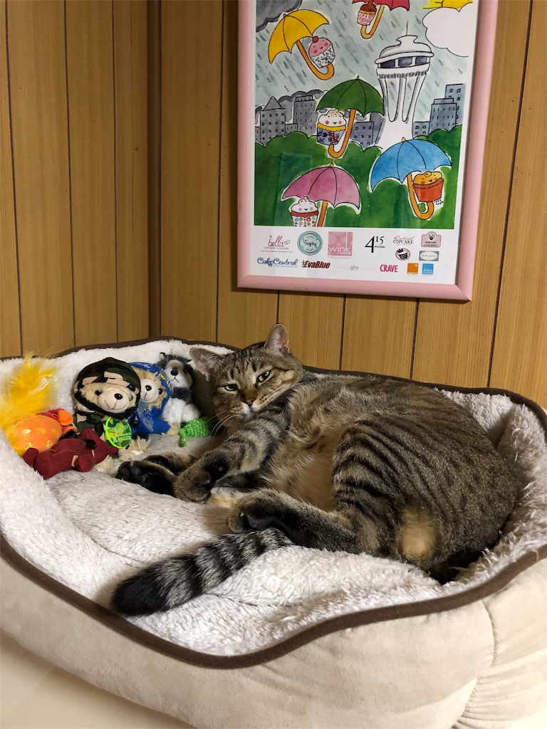 f:id:annesea:20190107213720j:image