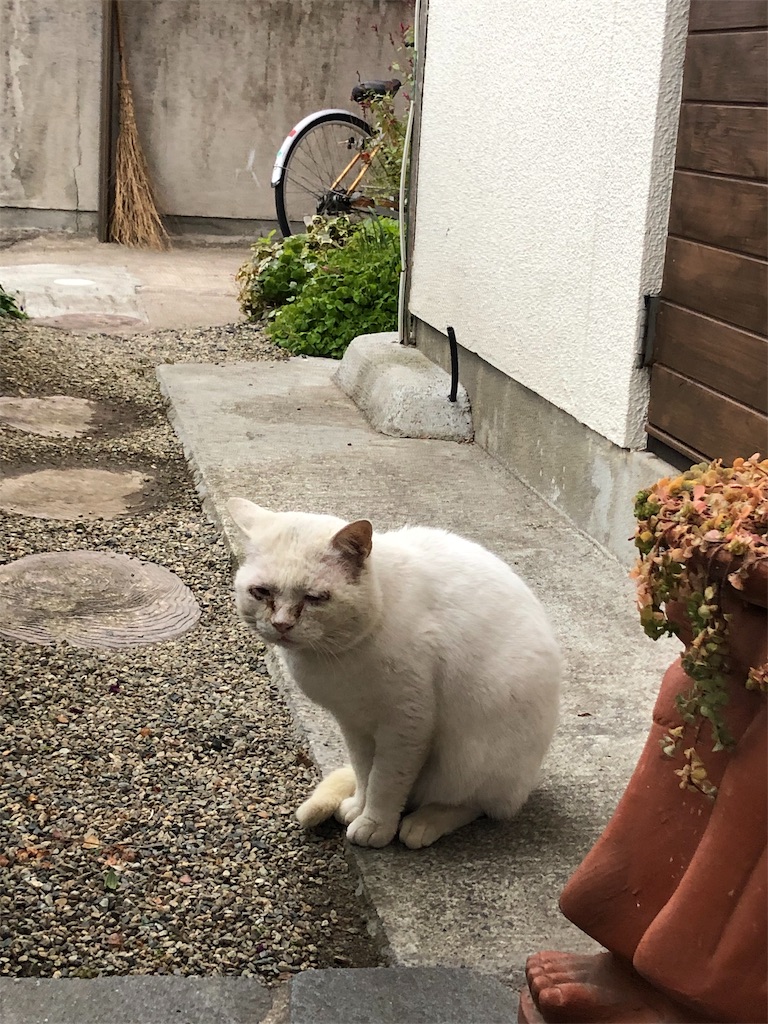 f:id:annesea:20190109224602j:image