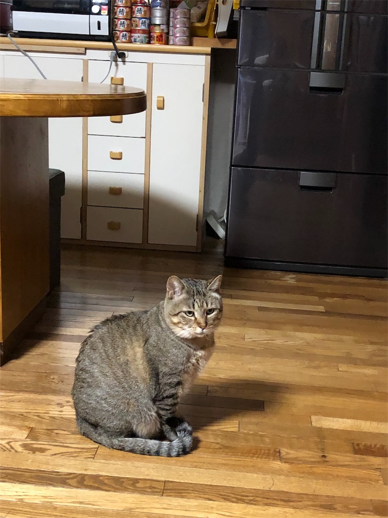 f:id:annesea:20190112232916j:image
