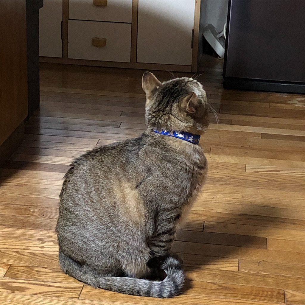 f:id:annesea:20190112232934j:image