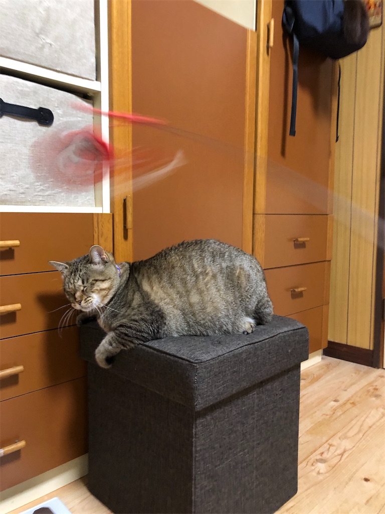 f:id:annesea:20190113230131j:image