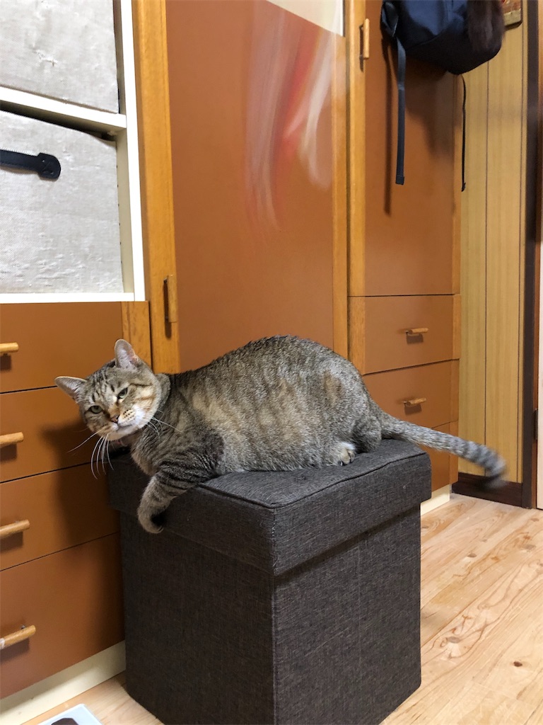 f:id:annesea:20190113230144j:image