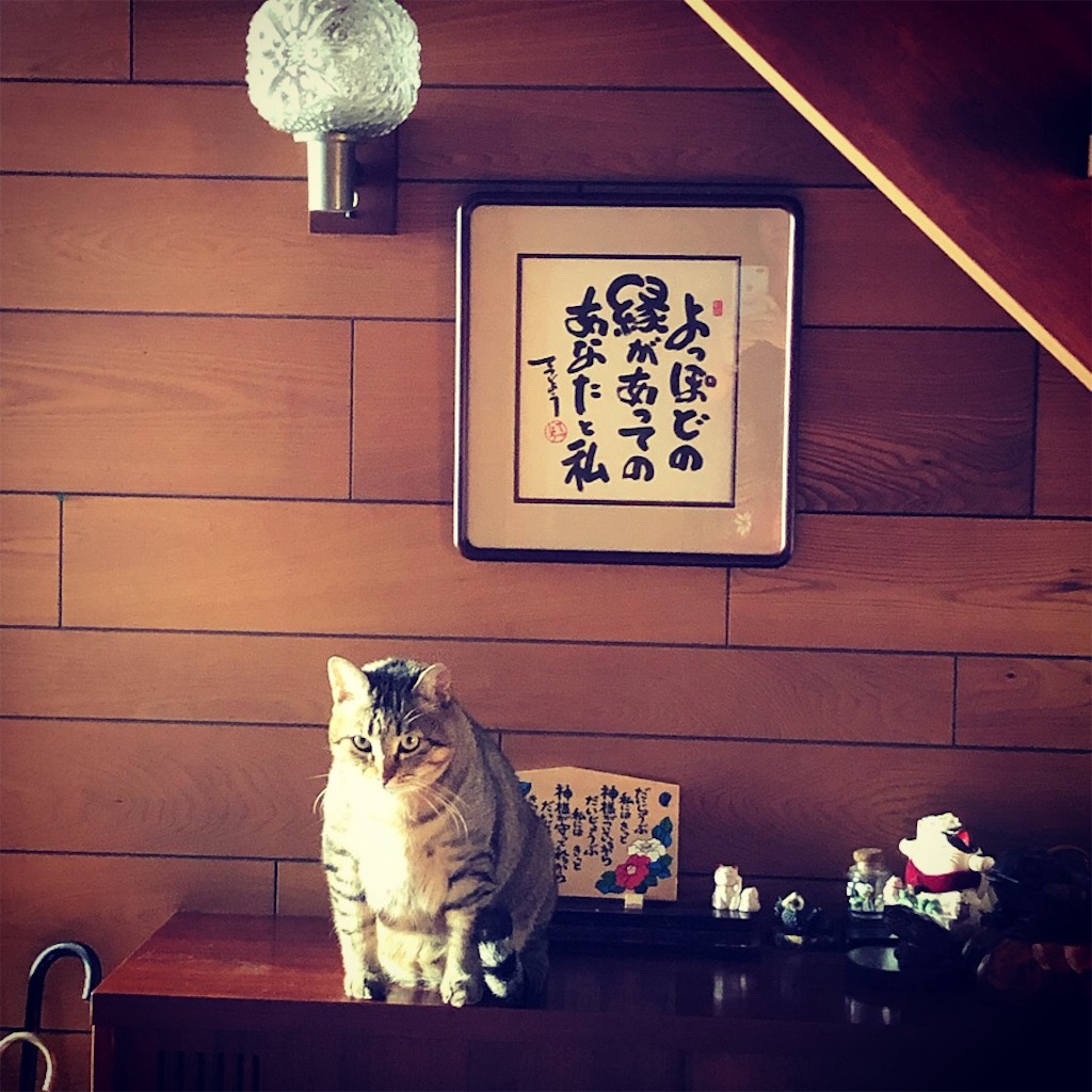 f:id:annesea:20190118141714j:image