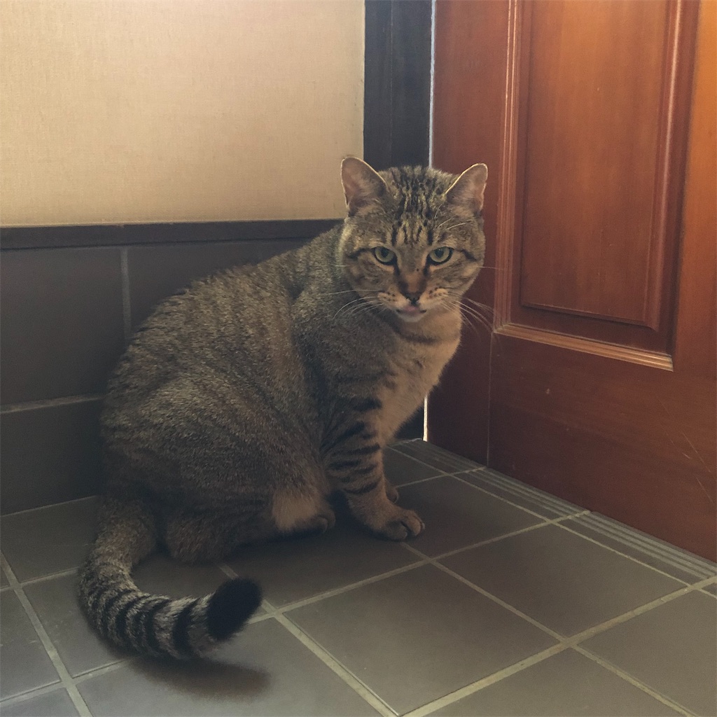 f:id:annesea:20190118141752j:image