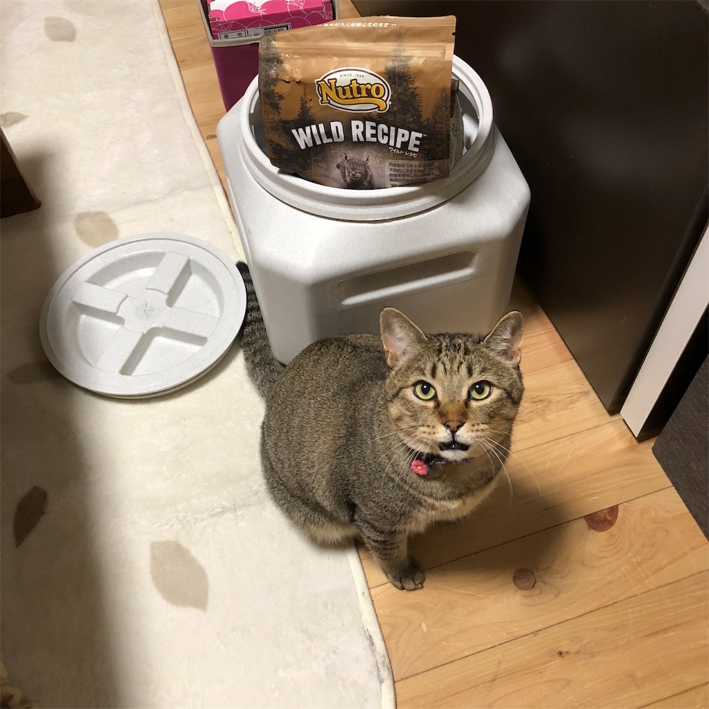 f:id:annesea:20190119162403j:image