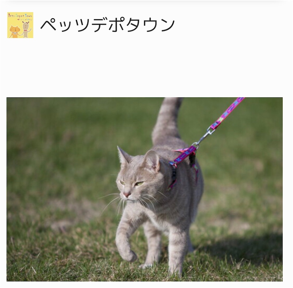 f:id:annesea:20190121204313j:image