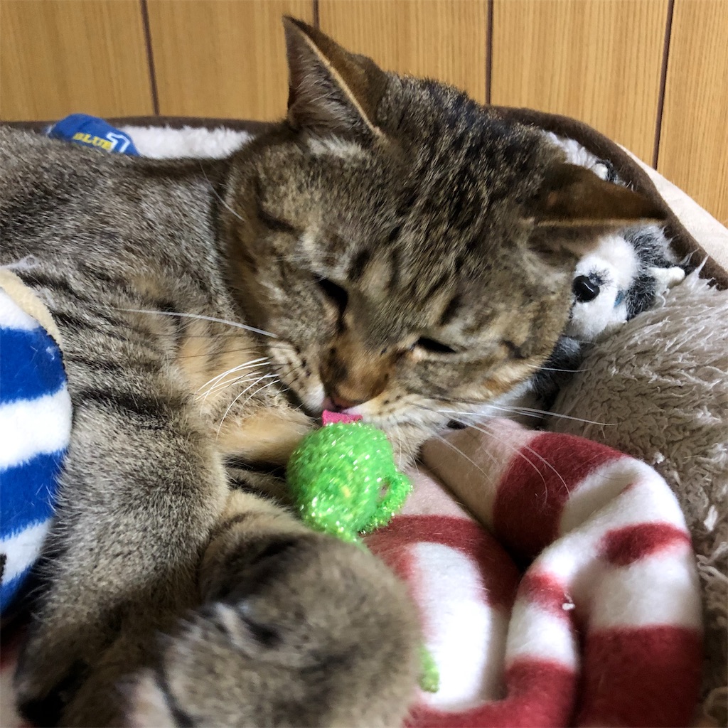f:id:annesea:20190124230314j:image