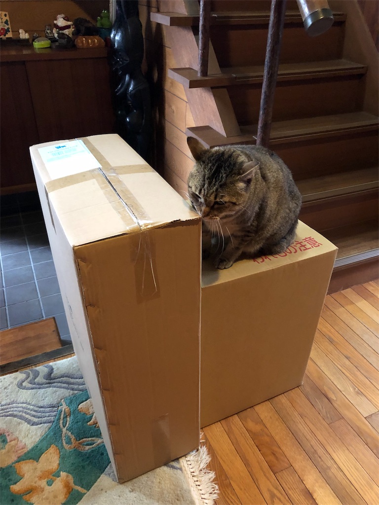 f:id:annesea:20190204182301j:image