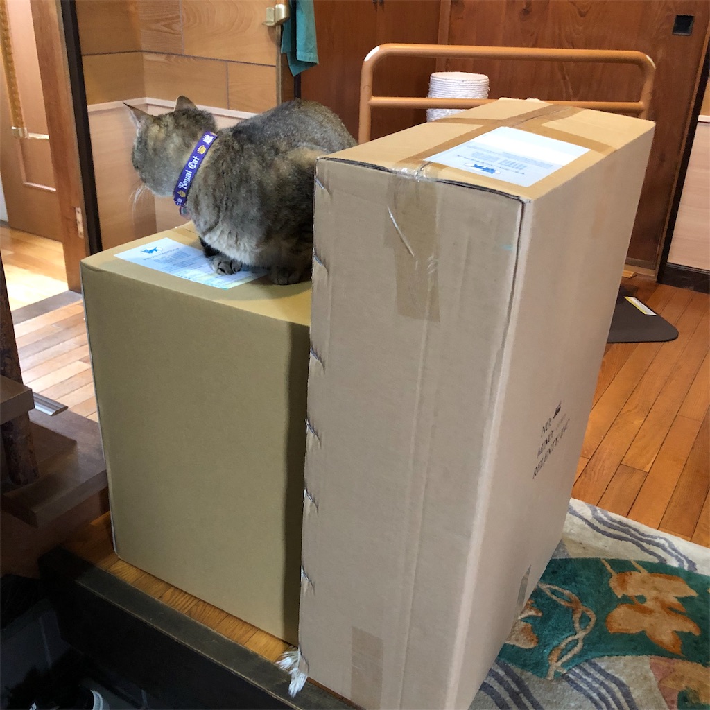 f:id:annesea:20190204182343j:image