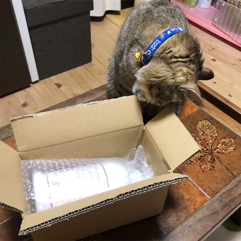 f:id:annesea:20190217171622j:image