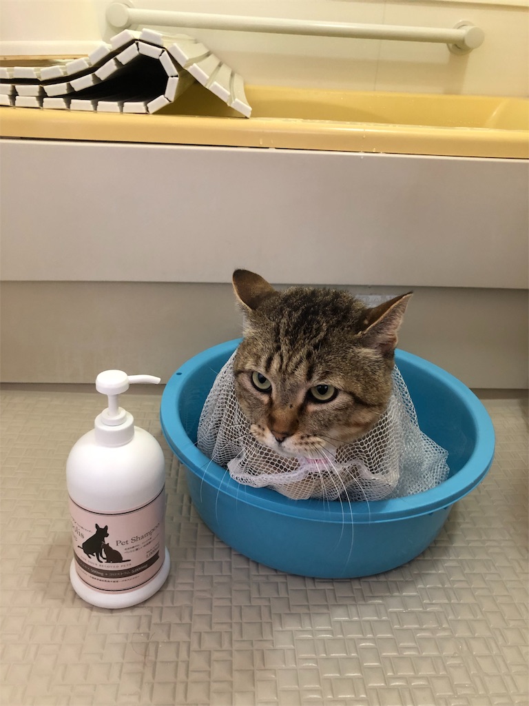 お風呂好き猫のプーチンさんの為にペット用抗ダニ・保湿高級シャンプー 