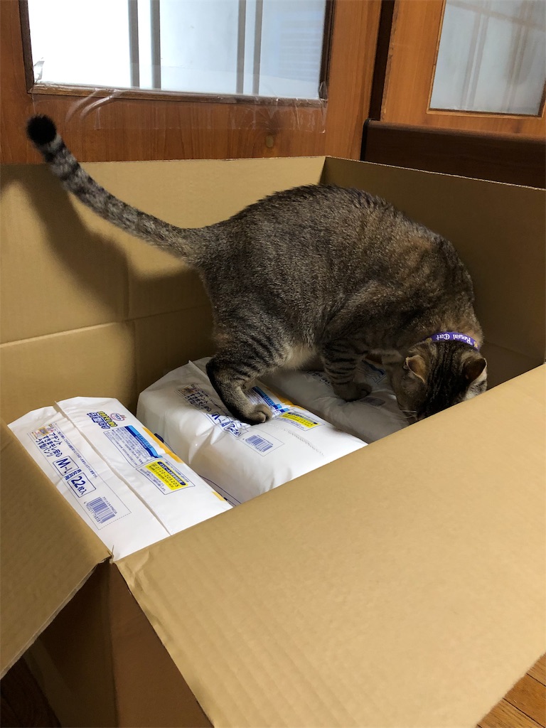 f:id:annesea:20190327123016j:image f:id:annesea:20190327123016j:image