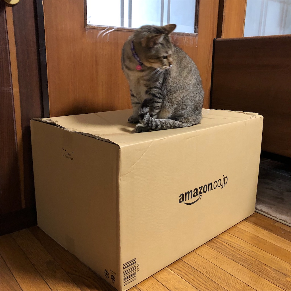 f:id:annesea:20190327123023j:image f:id:annesea:20190327123023j:image