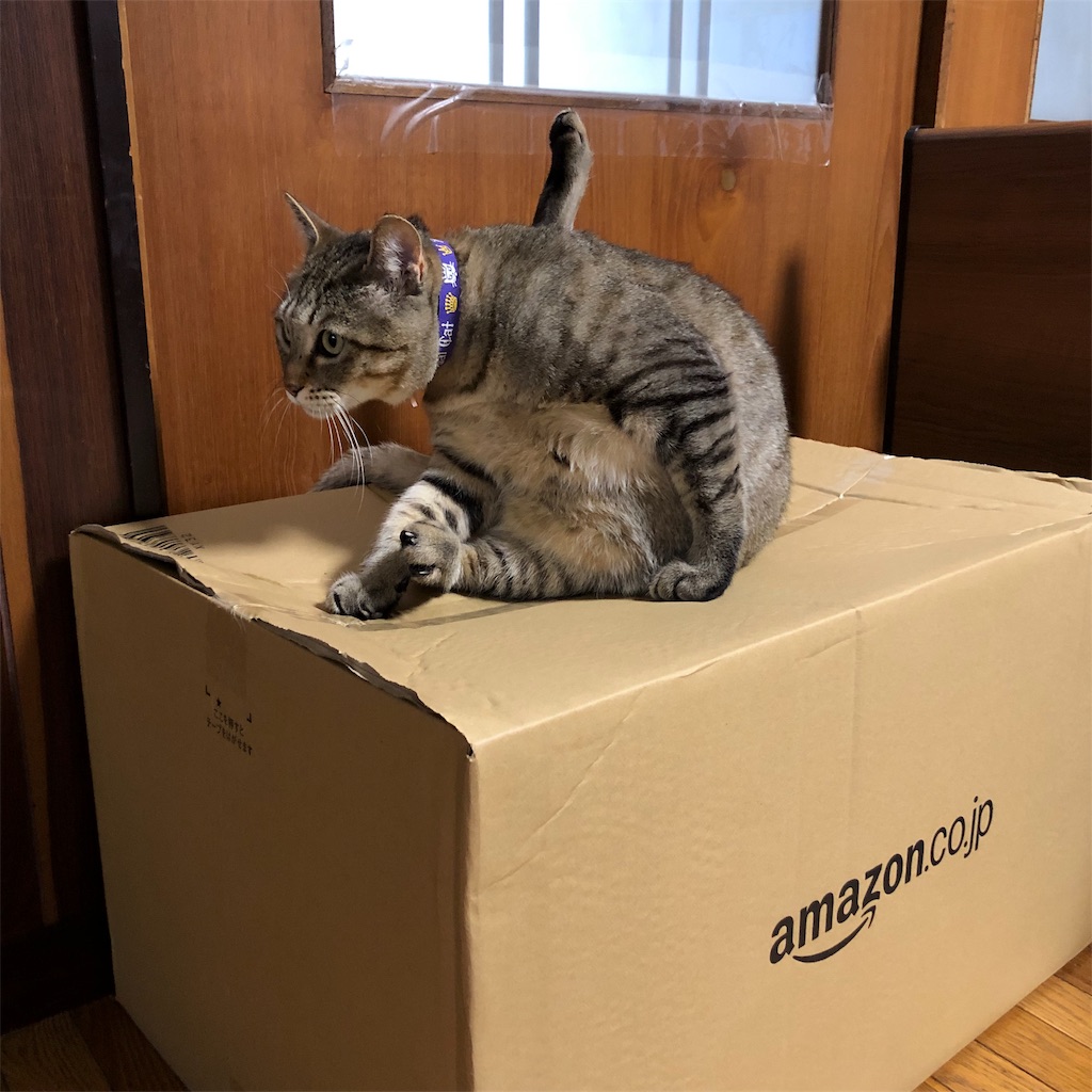 f:id:annesea:20190327123030j:image f:id:annesea:20190327123030j:image