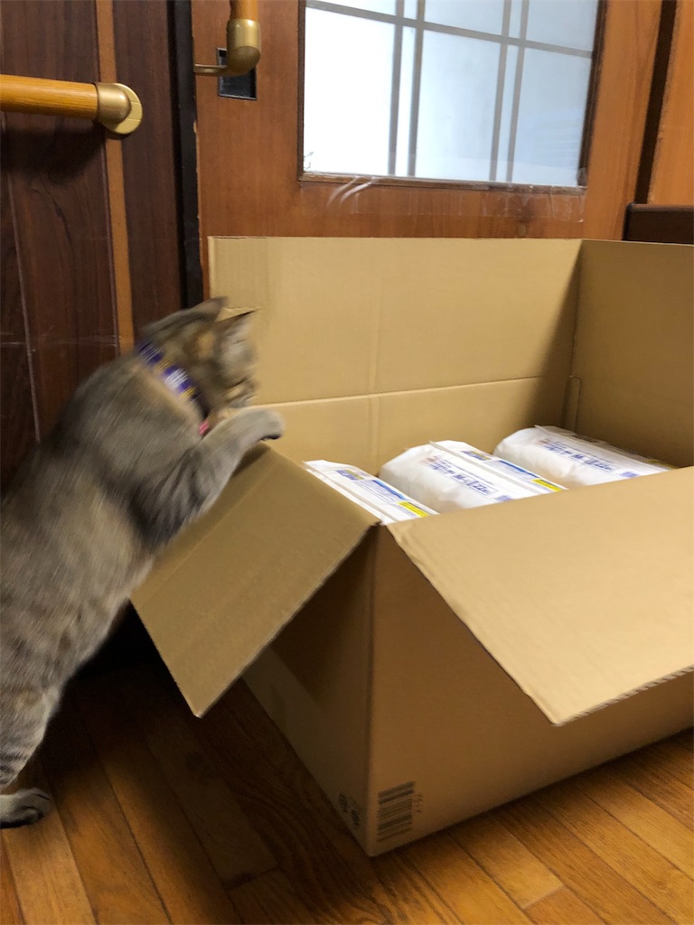 f:id:annesea:20190327123037j:image f:id:annesea:20190327123037j:image