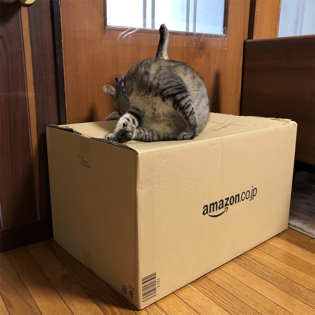 f:id:annesea:20190327123043j:image f:id:annesea:20190327123043j:image