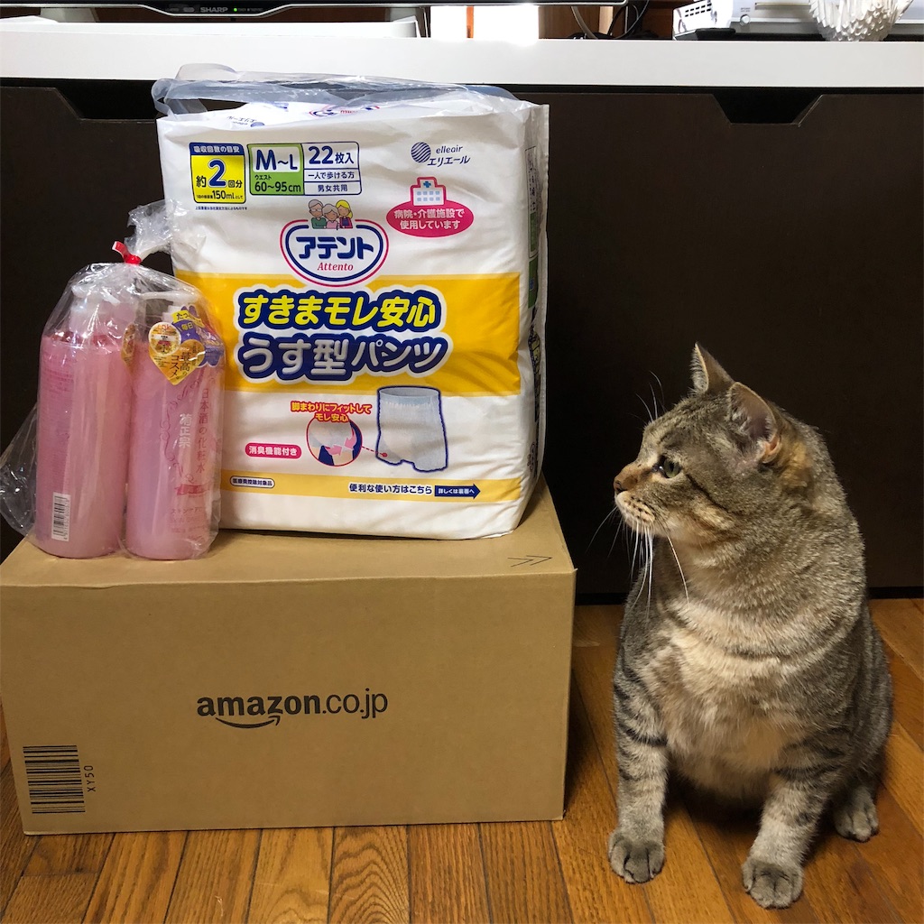 f:id:annesea:20190327123223j:image f:id:annesea:20190327123223j:image