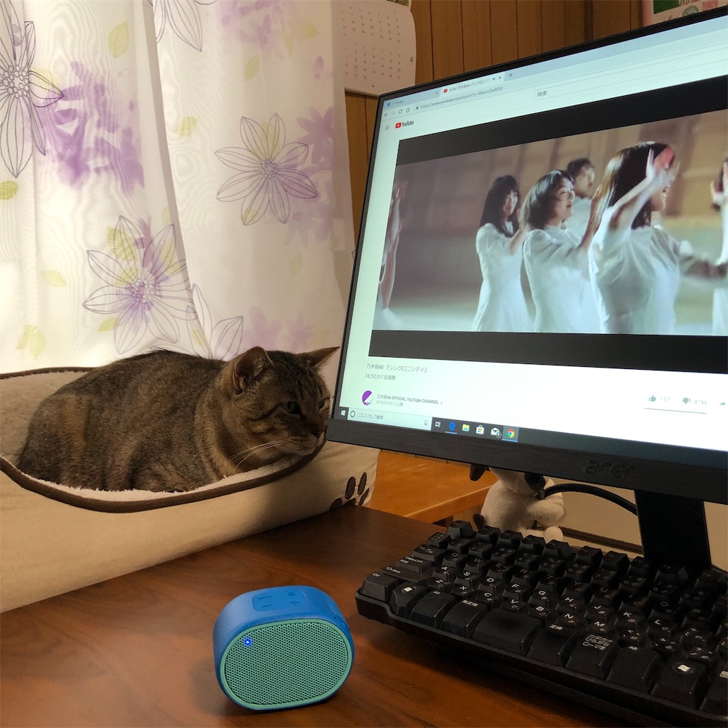 f:id:annesea:20190414185932j:image