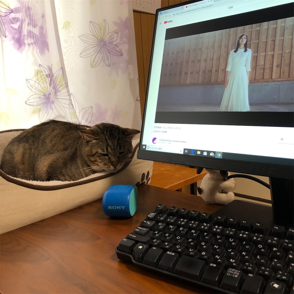 f:id:annesea:20190414190019j:image