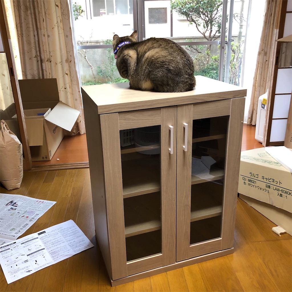 f:id:annesea:20190420144344j:image f:id:annesea:20190420144344j:image
