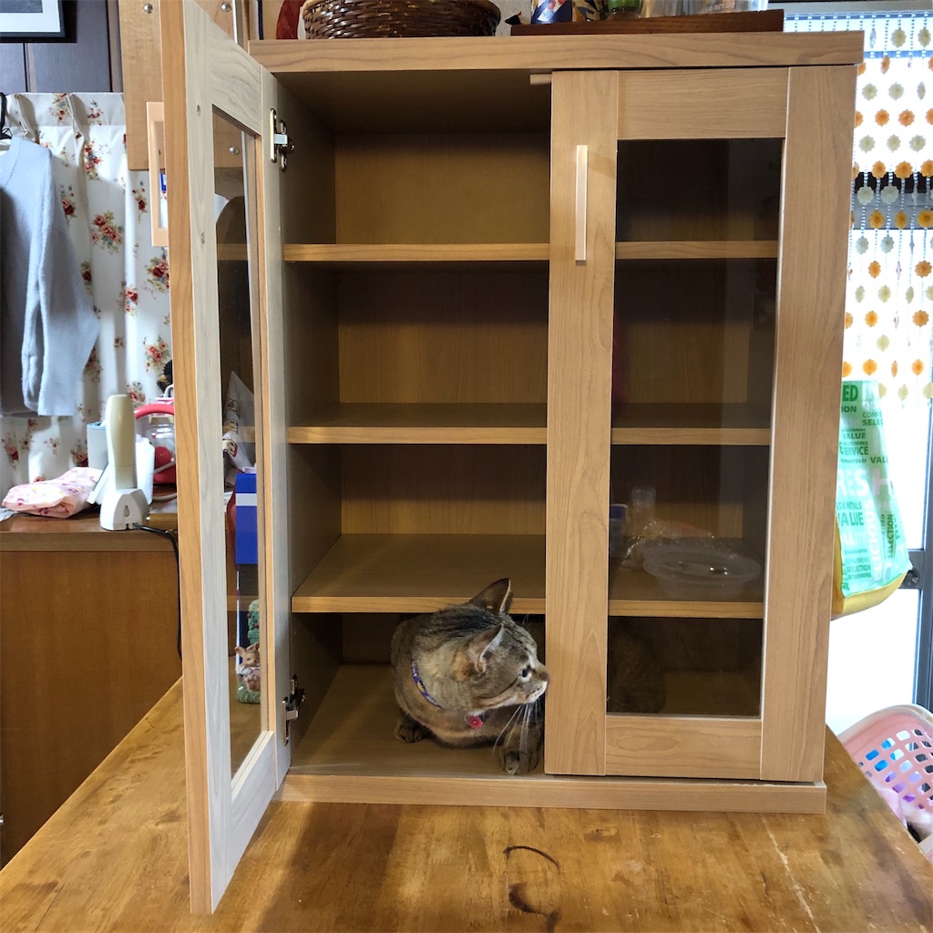f:id:annesea:20190420144350j:image f:id:annesea:20190420144350j:image