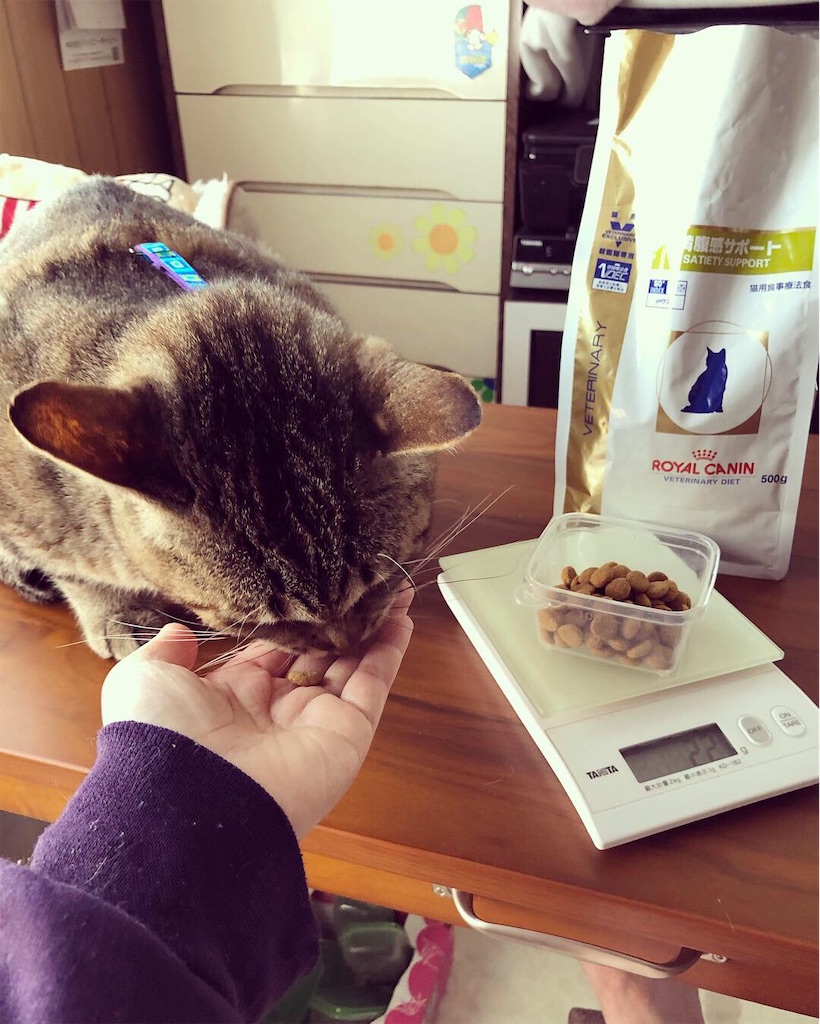 f:id:annesea:20190422143706j:image