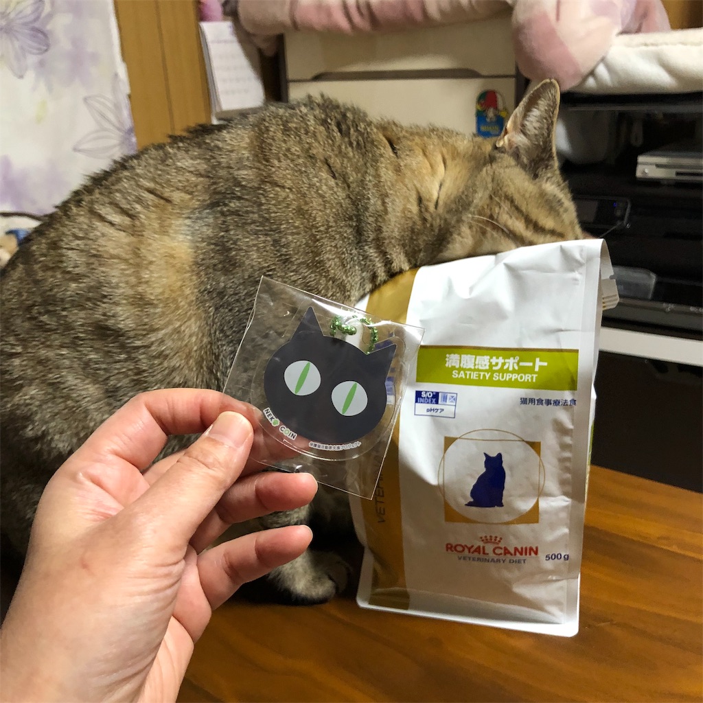 f:id:annesea:20190422143712j:image