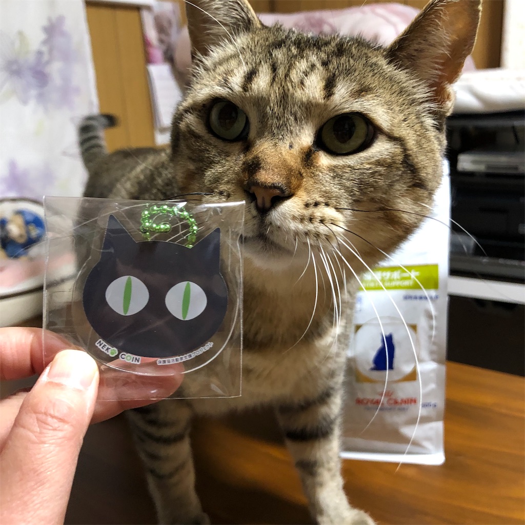 f:id:annesea:20190422143735j:image