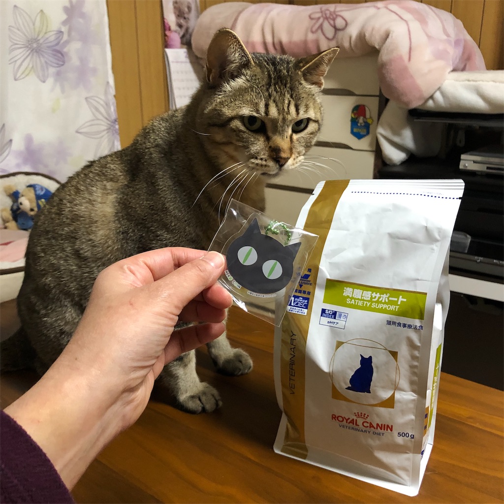 f:id:annesea:20190422143752j:image