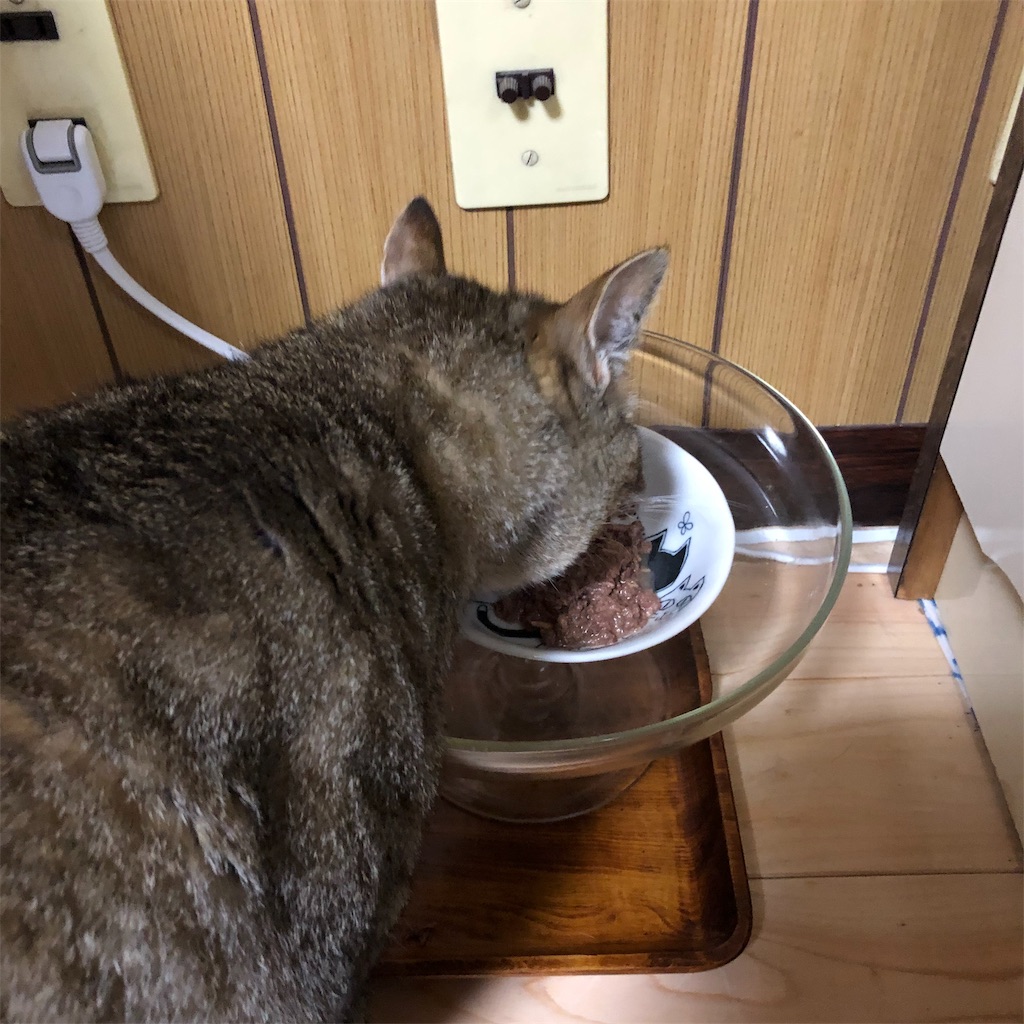 f:id:annesea:20190430211524j:image