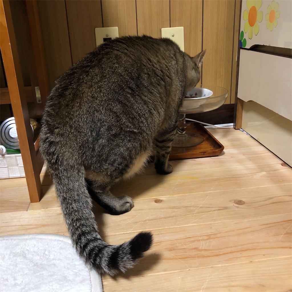 f:id:annesea:20190430211532j:image