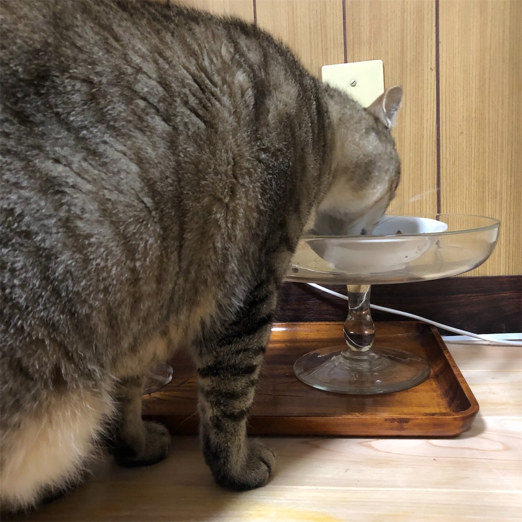 f:id:annesea:20190430211546j:image