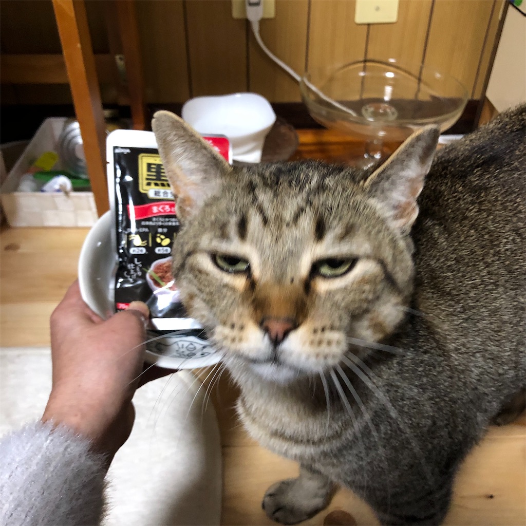 f:id:annesea:20190430211606j:image