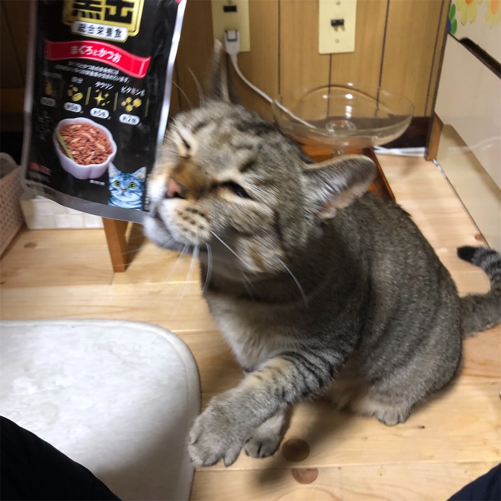 f:id:annesea:20190430211621j:image