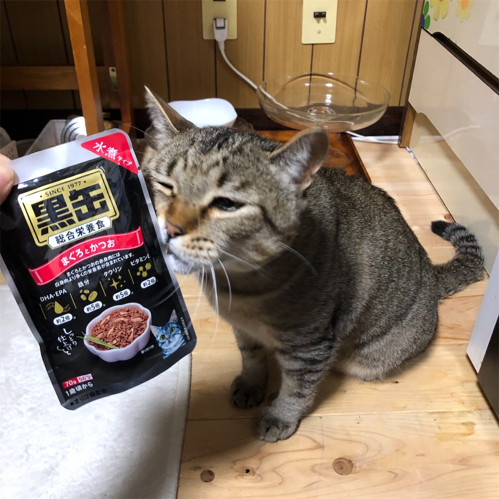 f:id:annesea:20190430211629j:image