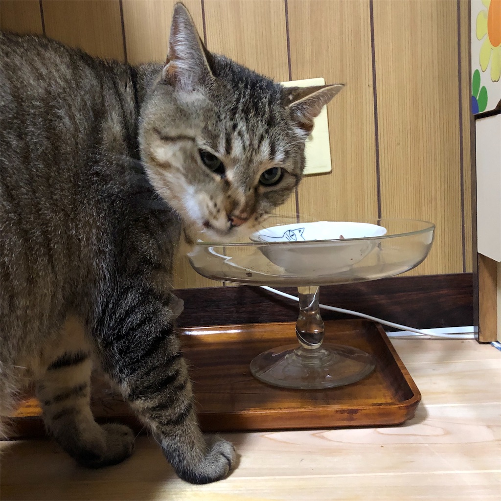 f:id:annesea:20190430211658j:image