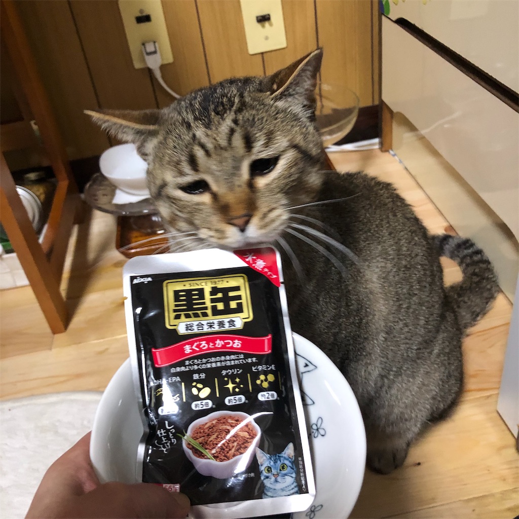 f:id:annesea:20190430211711j:image